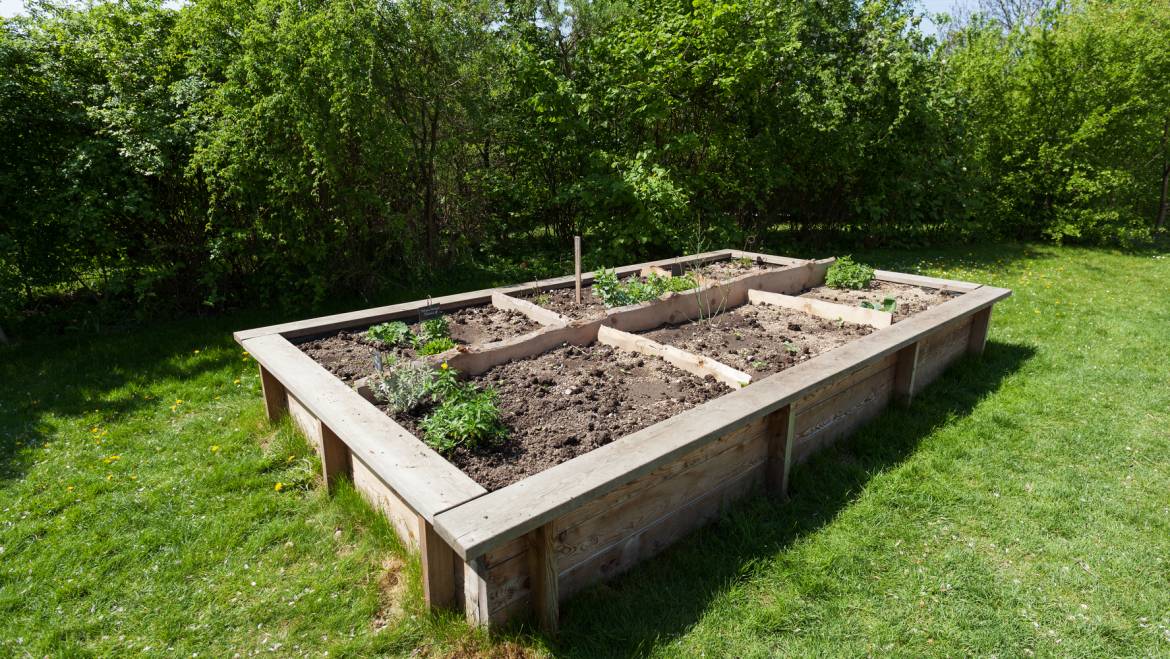 Comment construire un lit de jardin surélevé: planification, construction et plantation