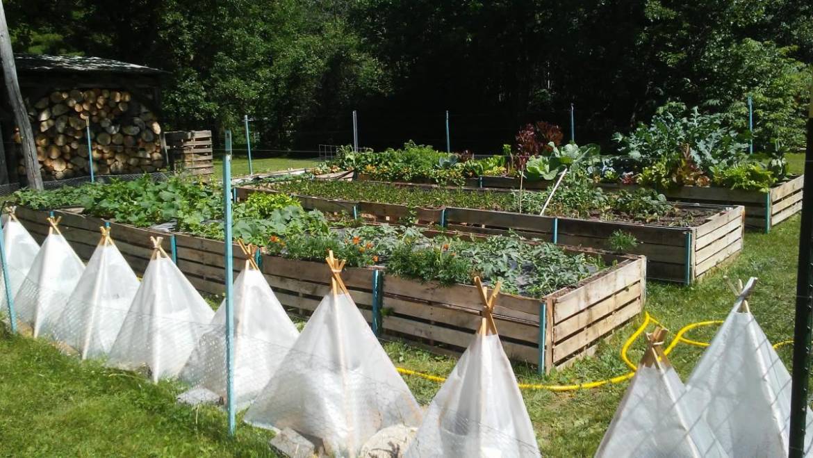 Avis de planificateur de jardin potager: Greg M.