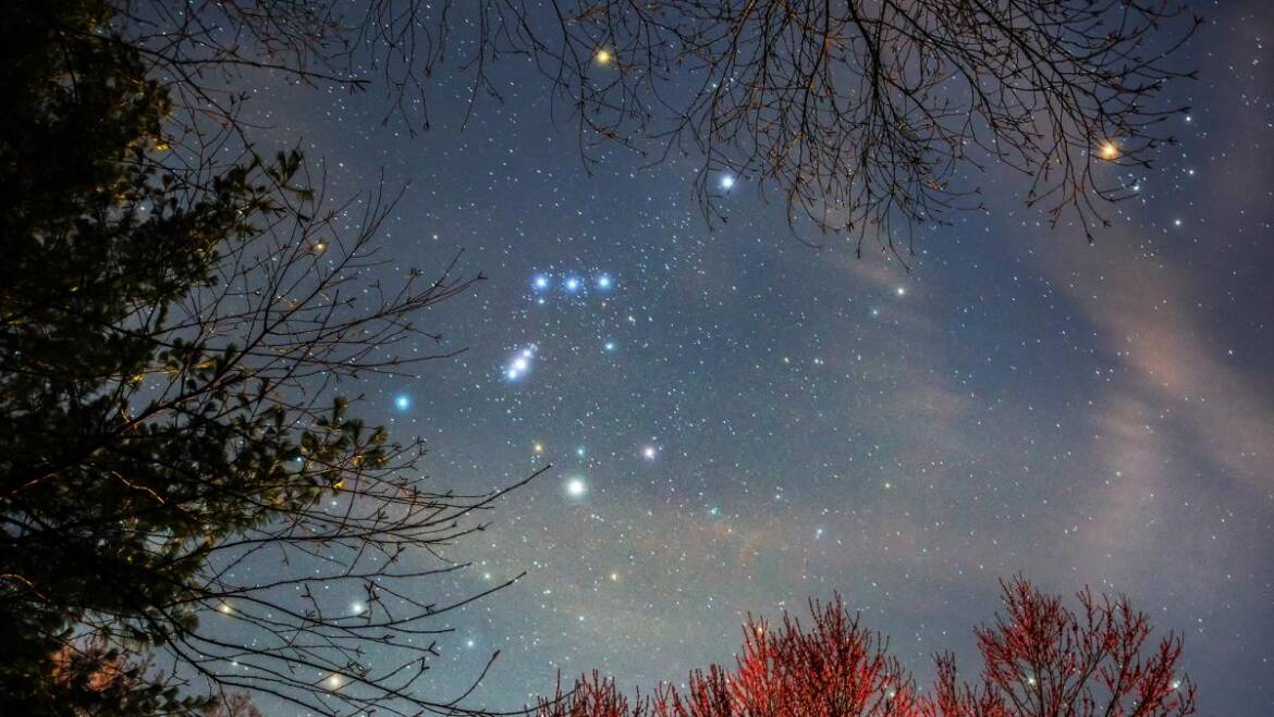 Observation des étoiles avec Orion |  Les jardins de Laurent du vieux fermier