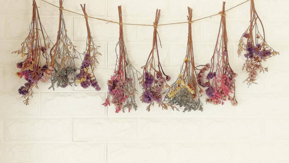 Comment sécher les fleurs |  Quelles sont les meilleures fleurs pour le séchage ?