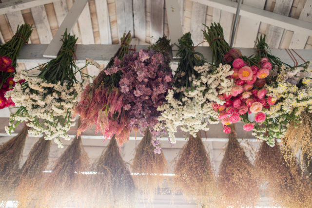 fleurs séchées en studio