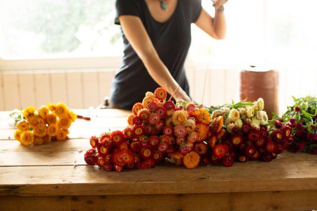 fleur de paille séchée attacher des bouquets de fleurs de paille séchées