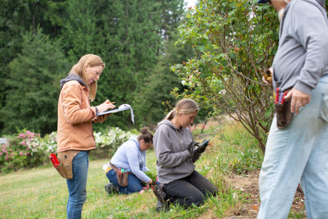 L'équipe Floret visite les roseraies d'Anne Belovich et tente d'identifier les plantes