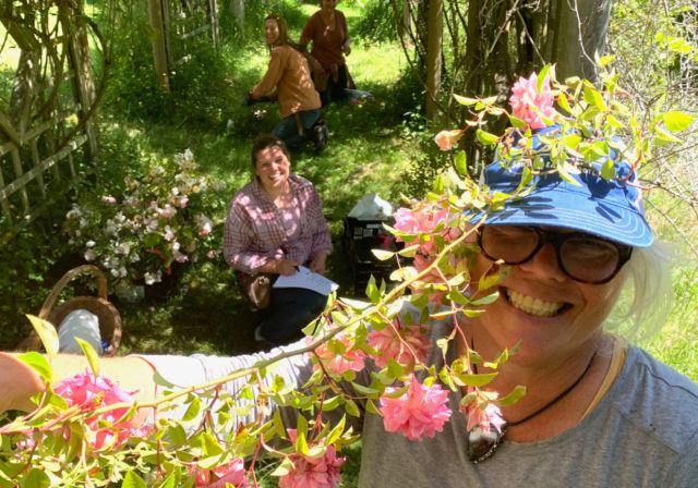 L'équipe Floret visite les roseraies d'Anne Belovich