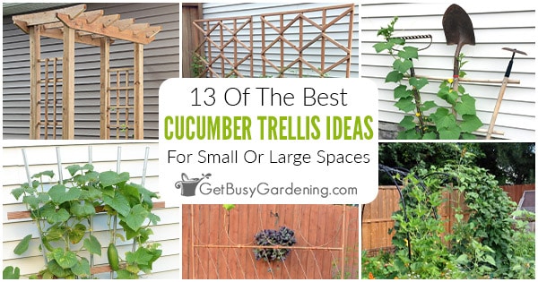 Idées de treillis de concombre – 13 des meilleures conceptions de bricolage pour votre jardin