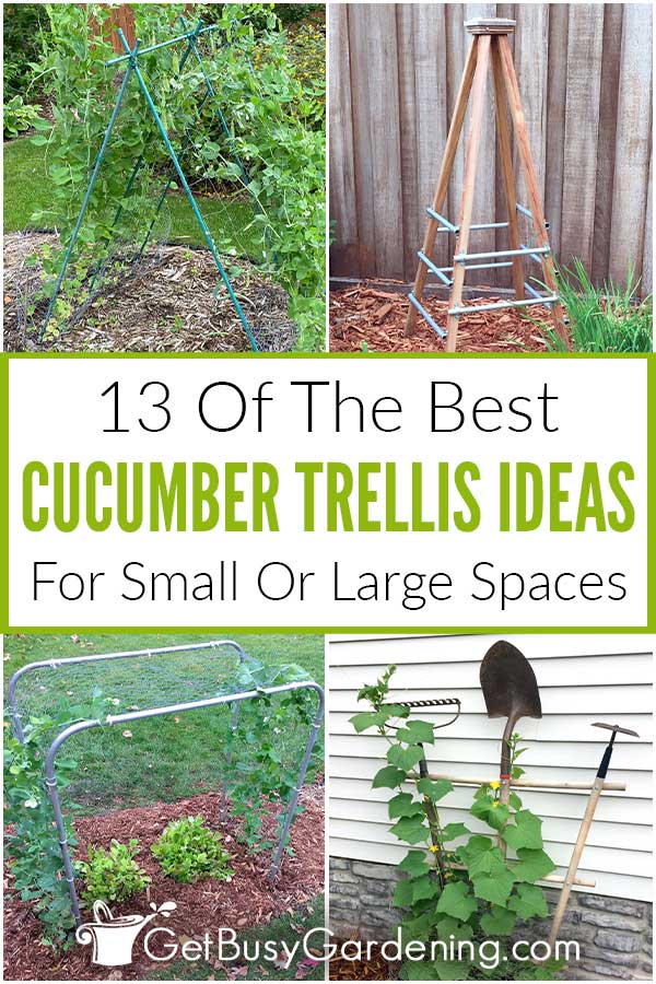 13 des meilleures idées de treillis de concombre pour les petits ou grands espaces