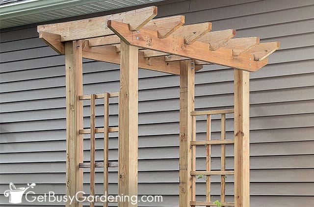 Tonnelle de bricolage de taille moyenne